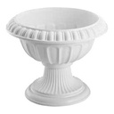 Kedi каталог — 0