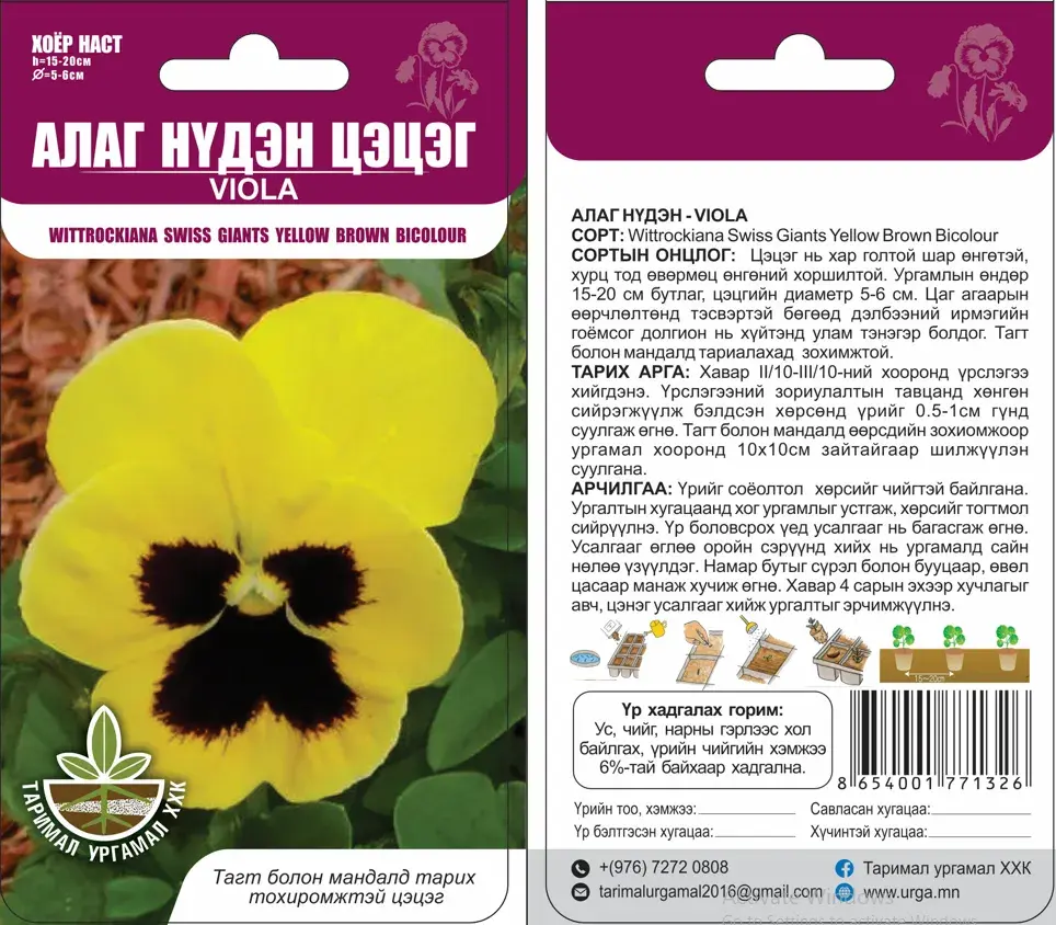 Алаг нүдэн цэцэг /wittrockiana swiss yellow brown bicorour /