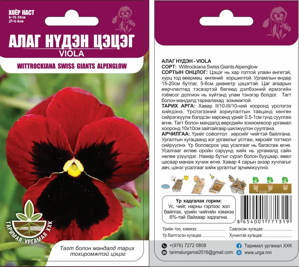 Алаг нүдэн цэцэг /x wittrockiama swiss giants alpenglow/