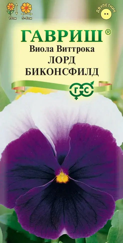 Алаг нүдэн Виола Виттрока Лорд Биконсфилд