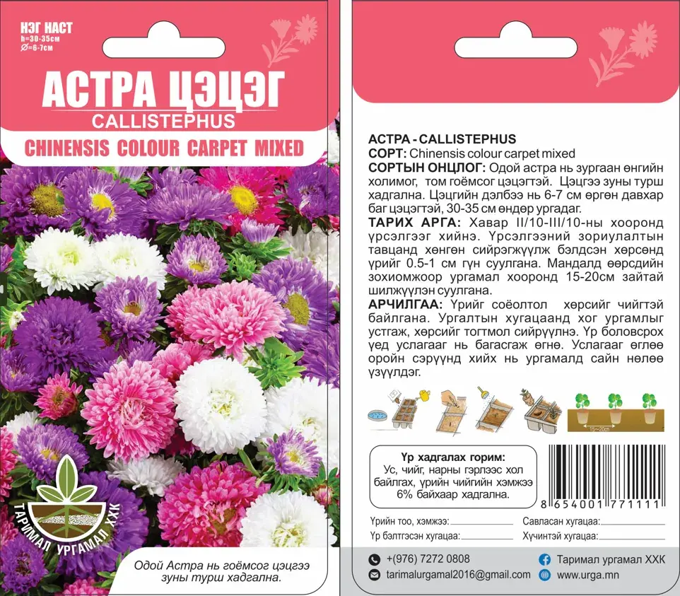 Астра Callisterhus chinensis colour carpet mixed Тармил Ургамал