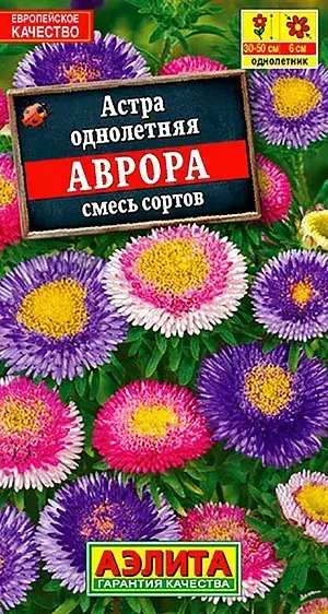 Астра Аврора, смесь сортов