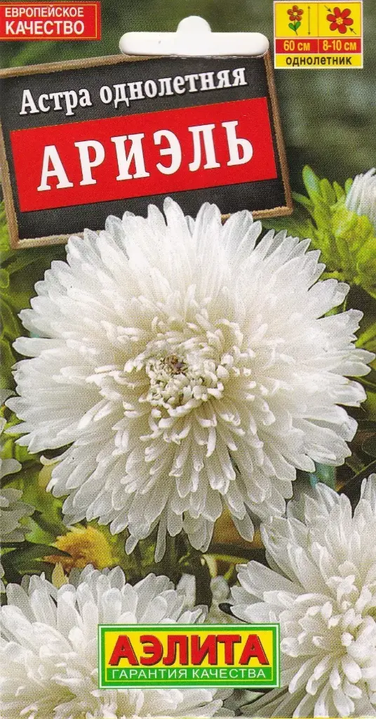 Астра Ариэль