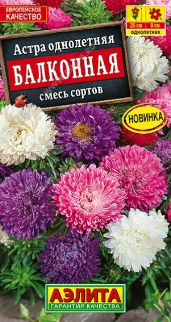 Астра Баллада, смесь сортов