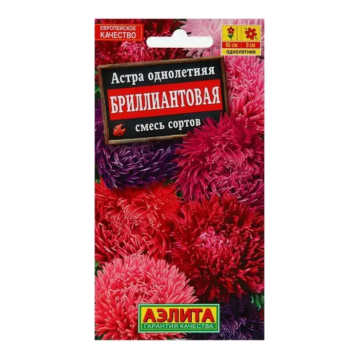 Астра Бриллиантовая, смесь сортов