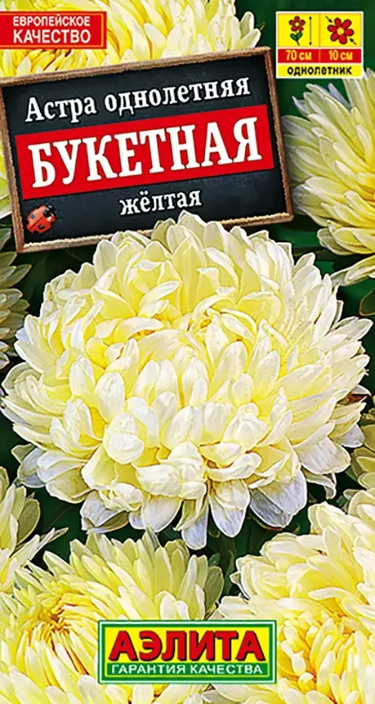 Астра Букетная желтая