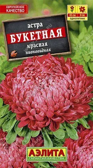 Астра Букетная лососево-красная