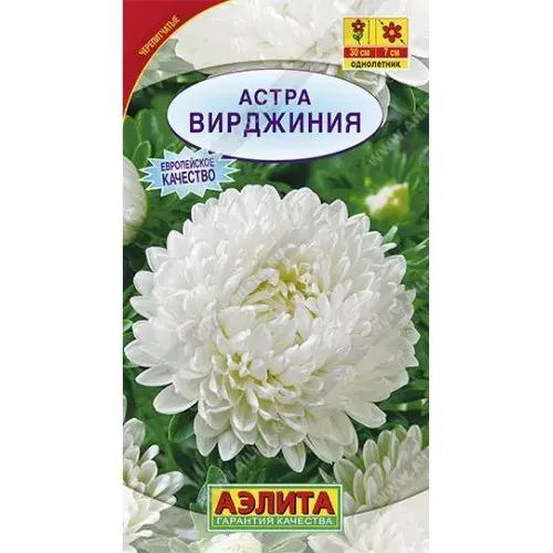 Астра Вирджиния смесь