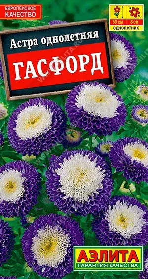 Астра Гасфорд