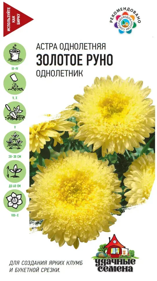 Астра Золотое Руно однолетник