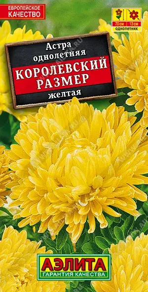 Астра Королевский размер красная