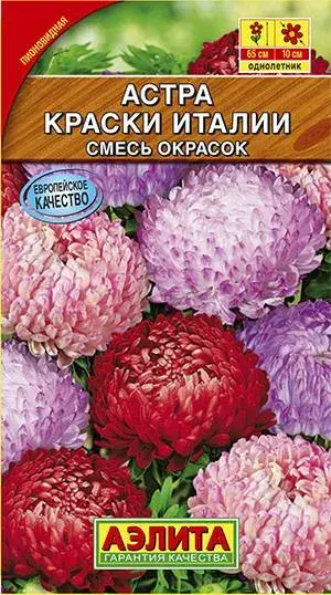 Астра Краски Италии, смесь сортов