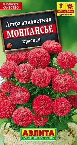 Астра Монпансье красная