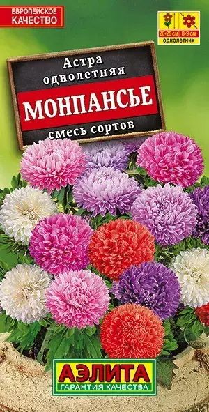 Астра Монпансье, смесь сортов