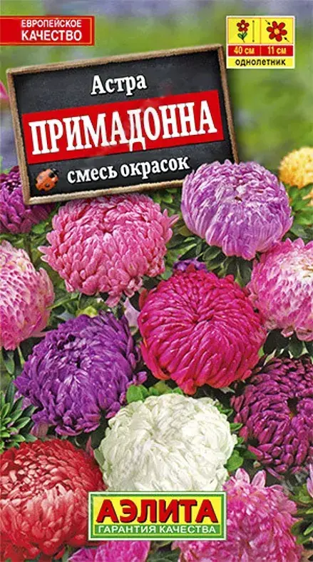 Астра Принцесса Диана