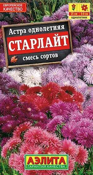 Астра Старлайт, смесь сортов