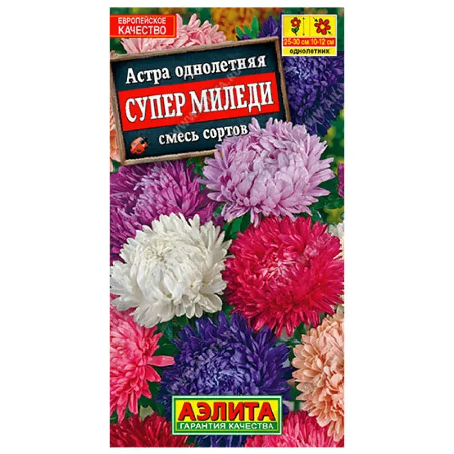 Астра Супер Миледи, смесь сортов 0722