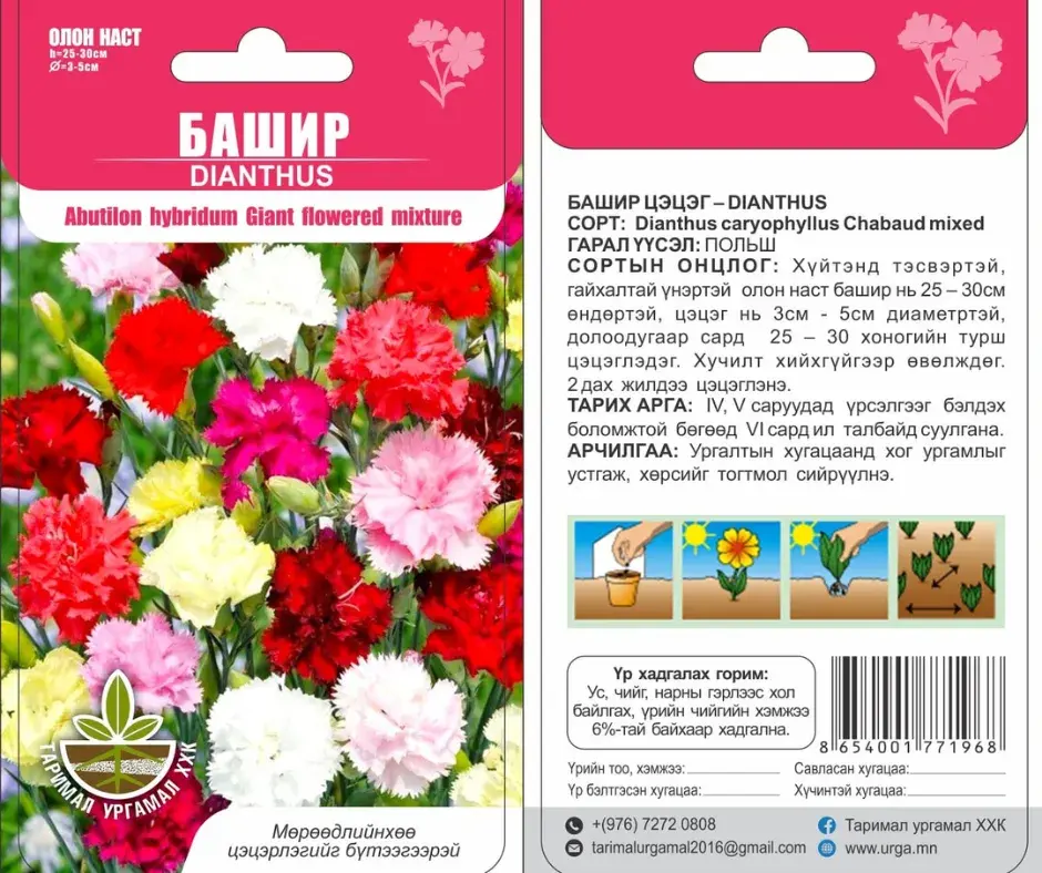 Башир - Dianthus plumaris linn