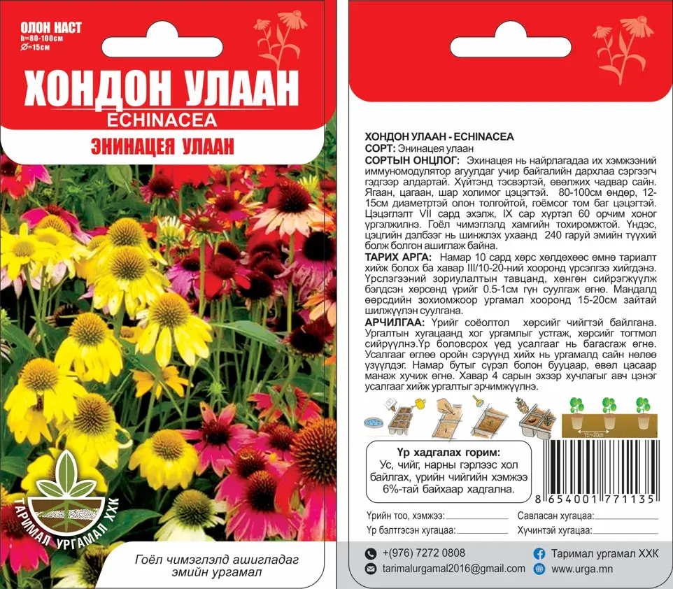 Еchinacea Хондон улаан /ш/