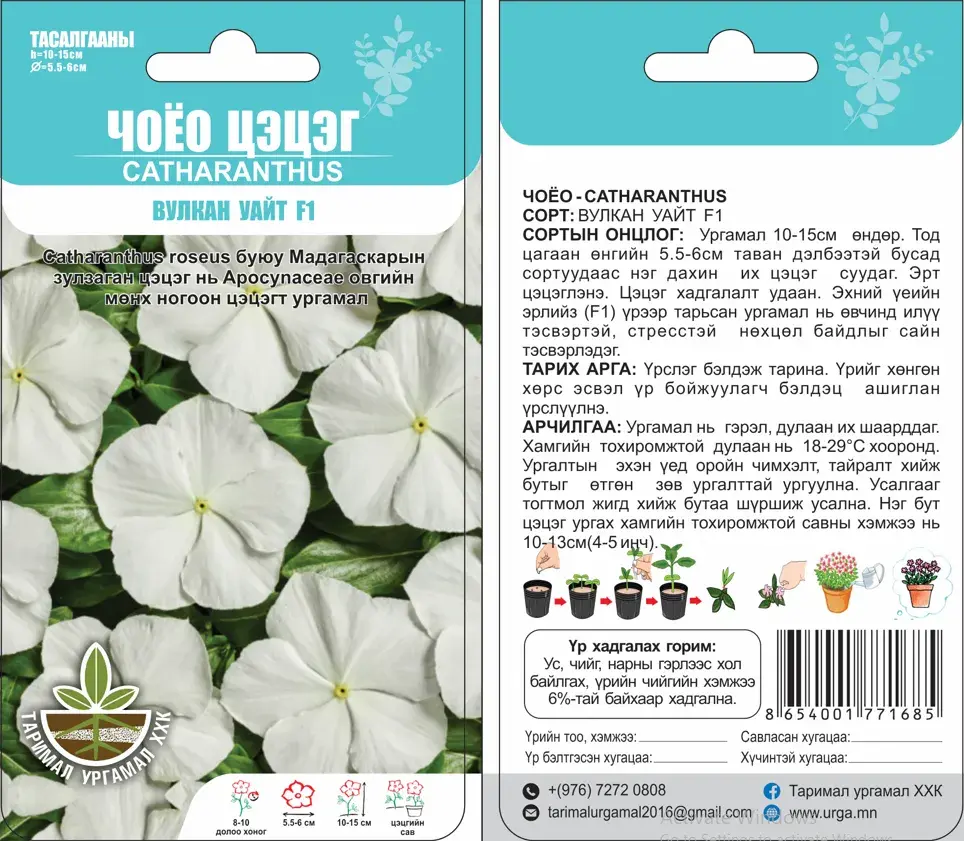 Чоёо цэцэг (Catharanthus) Вулкан уайт F1 5 ширхэг-Таримал Ургамал