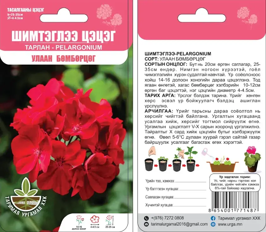 Шимтэглээ цэцэг Улаан бөмбөрцөг ( Тарлан цэцэг Pelargonium) 5ш-Таримал Ургамал
