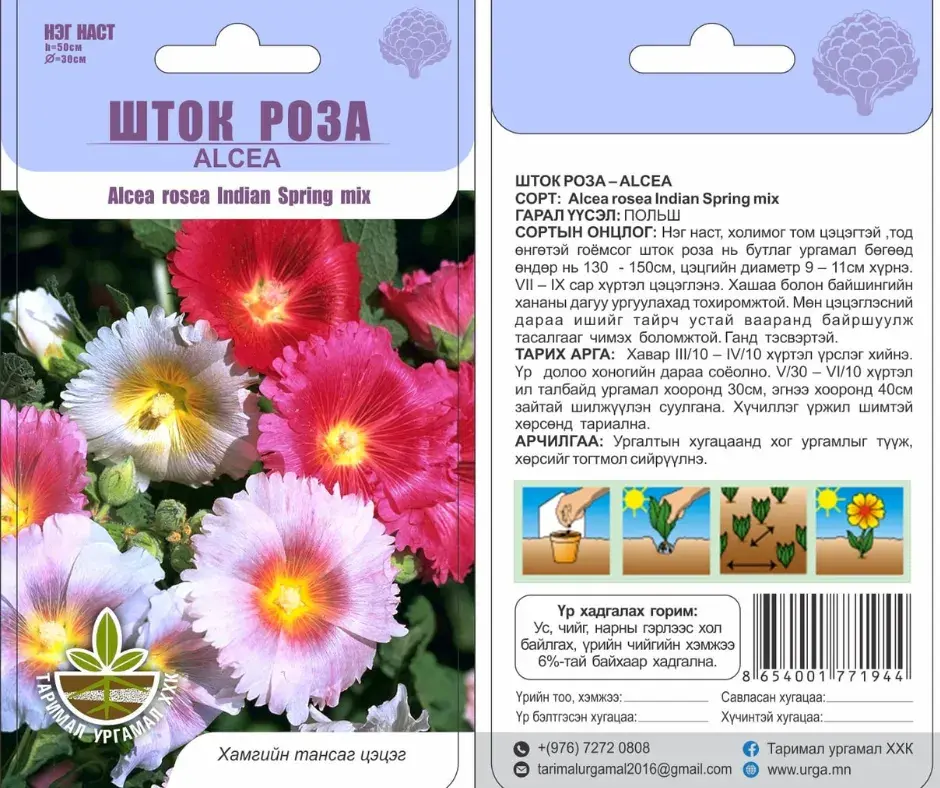 Шток роза цэцэг