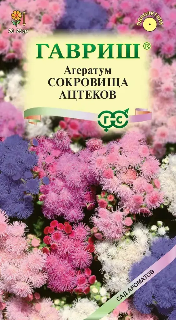 Агератум Сокровица Ацтеков