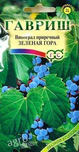 Виноград приречный ЗЕЛЁНАЯ ГОРА