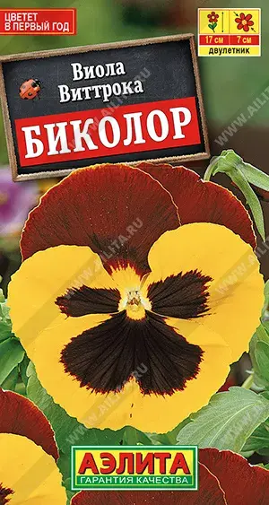 Виола Биколор 