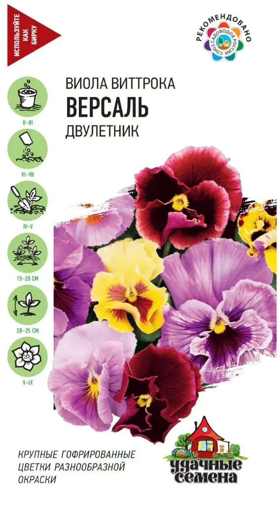 Виола Виттрока Версаль Двулетник