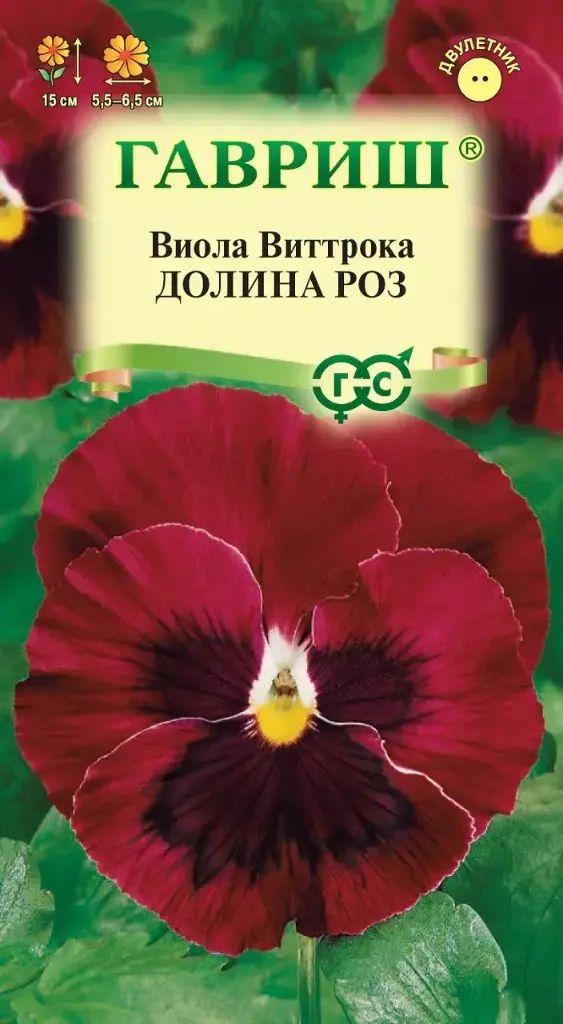 Виола Виттрока Долина Роз