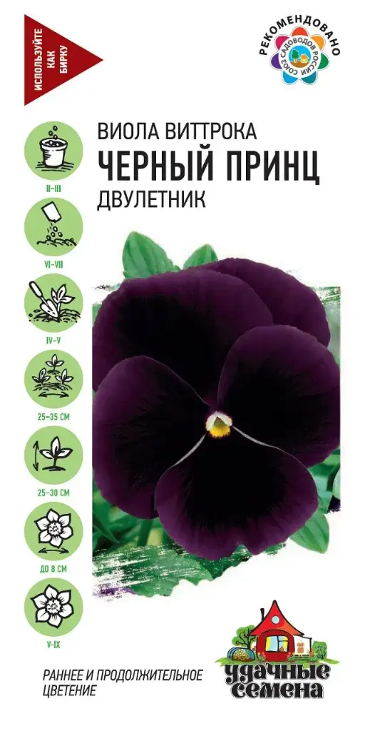 Виола Виттрока Чёрный Принц двулетник