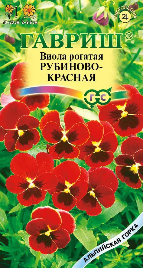 Виола рогатая РУБИНОВО-КРАСНАЯ