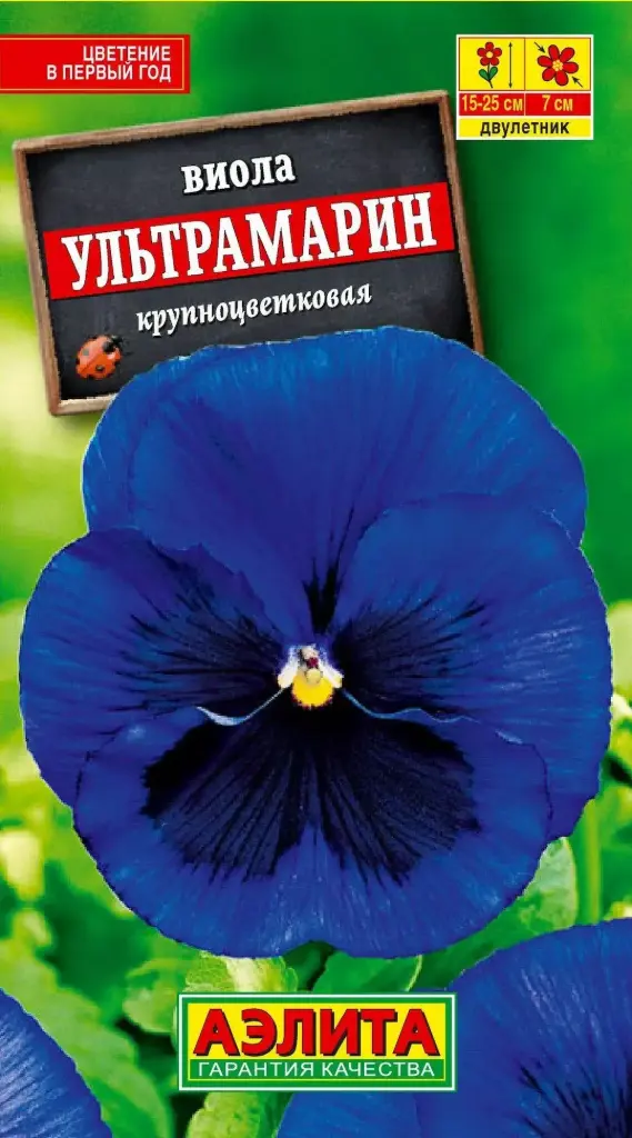 Виола Ультрамарин