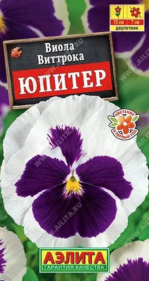 Виола Юпитер