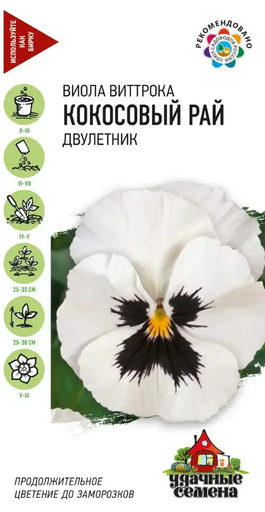Виоло виттрока КОКОСОВЫЙ РАЙ  двулетник