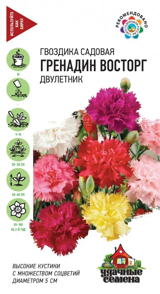 Гвоздика  Садовая Гренадин Восторг