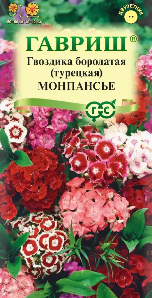 Гвоздика бородатся Монпансье