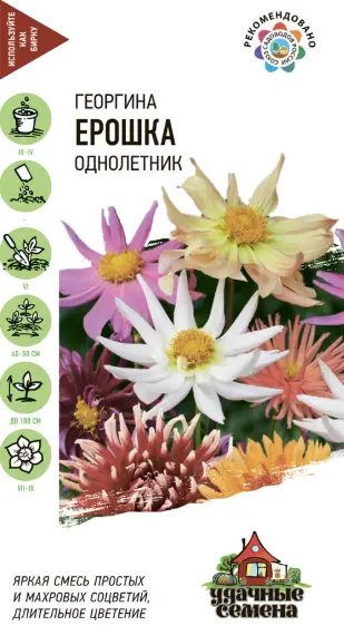 Георгина ЕРОШКА