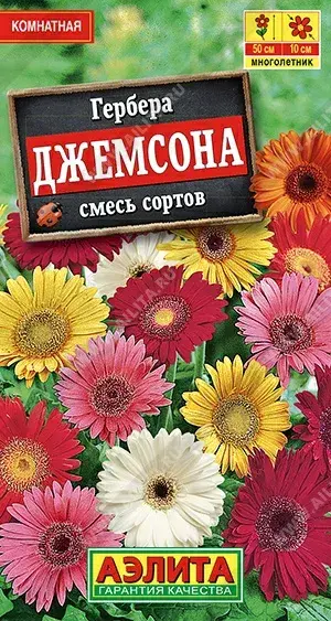Гербера Джемсона