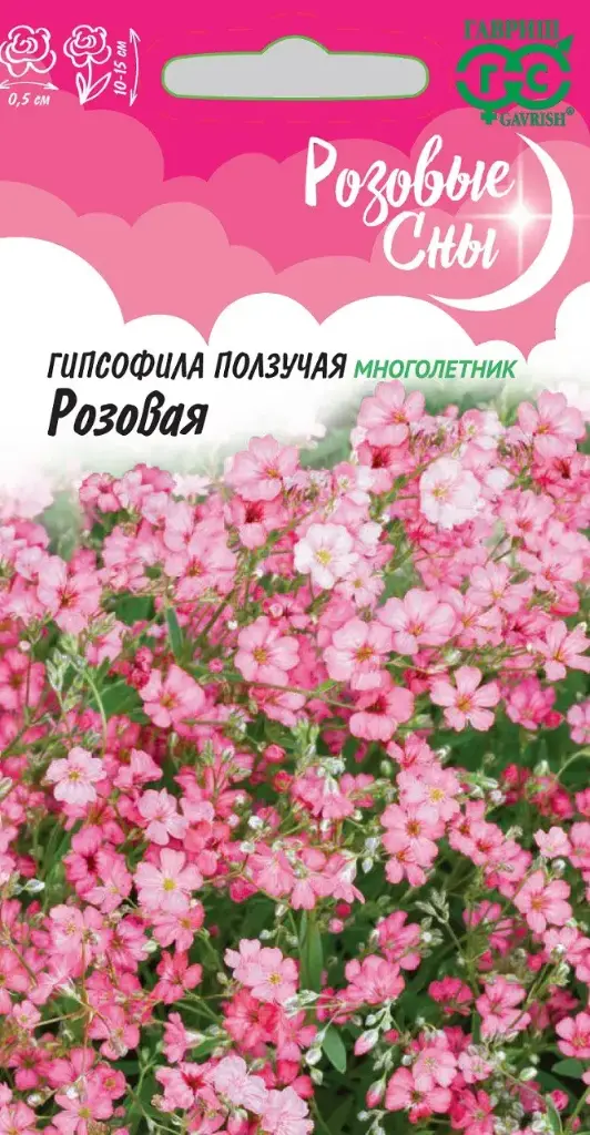 Гипсофила ползучая, Розовая