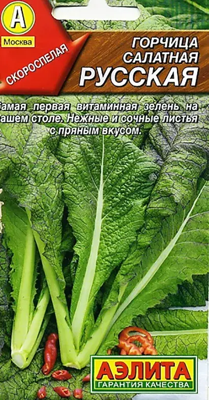 Гич - Горчица салатная Русская