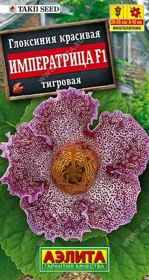 Глоксиния Императрица тигровая F1