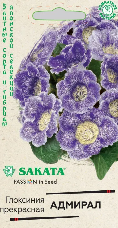 Глоксиния Прекрасная Адмирал