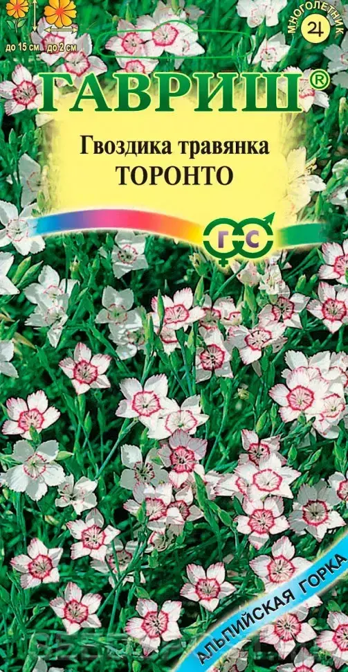 Гроздика Травянка Торонто