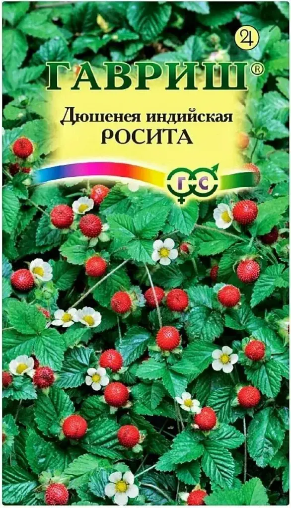 Дюшенея индийская Росита