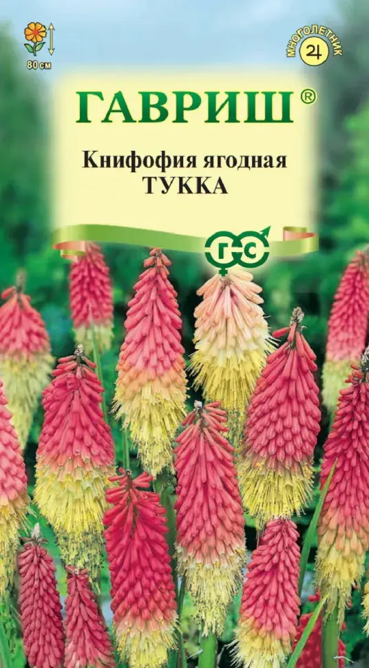 Книфофия ягодная тукка