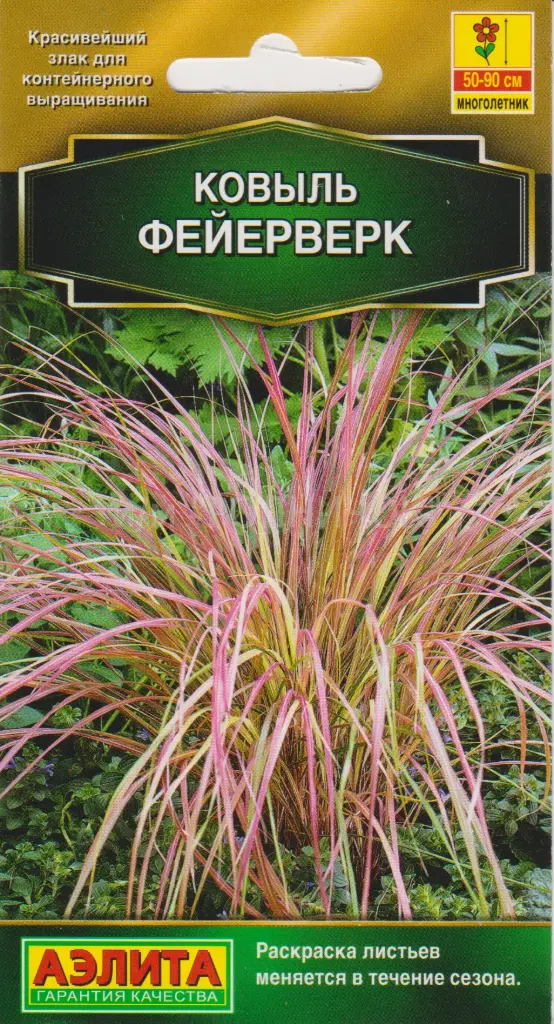 Ковыль Фейерверк