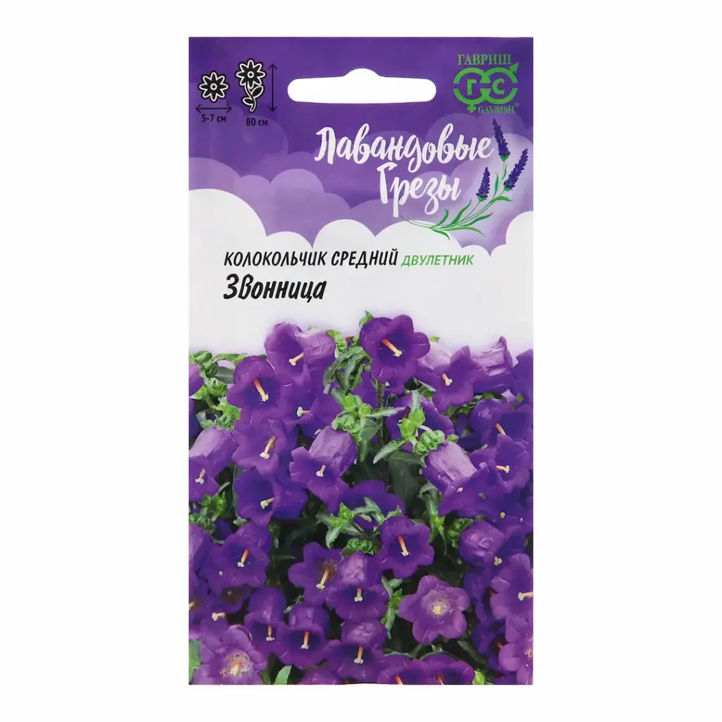 Колокольчик средний двулетник ЗВОННИЦА