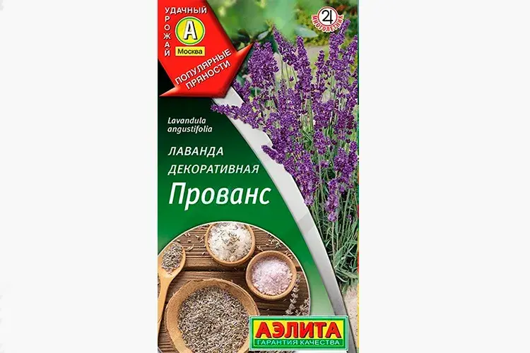 Лаванда декоративная Прованс